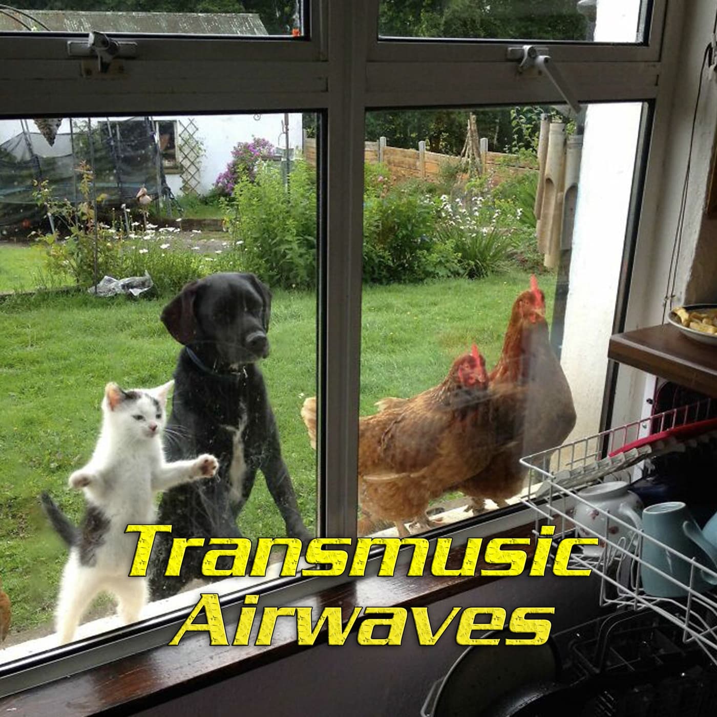 Episode 671: Transmusic Airwaves Collaborative - Transmusic Airwaves cover