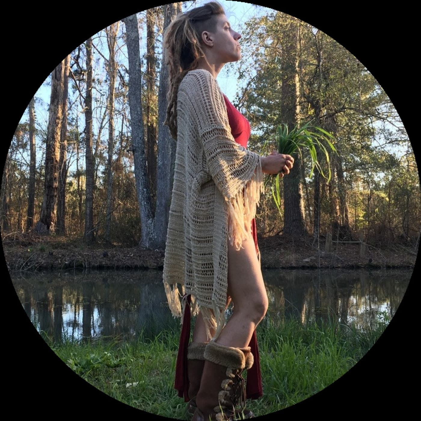 The Little Shaman: On Narcissists & Toxic Personalities cover