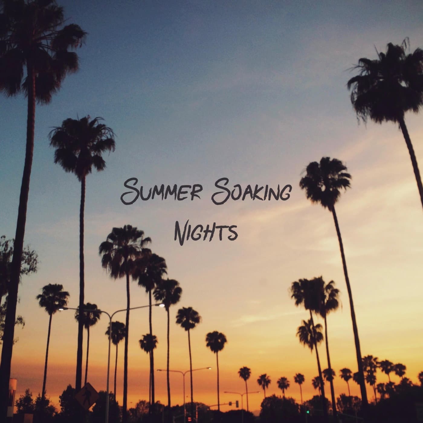 Summer Soaking Night (Live - 2017) - Cameron Skinner cover