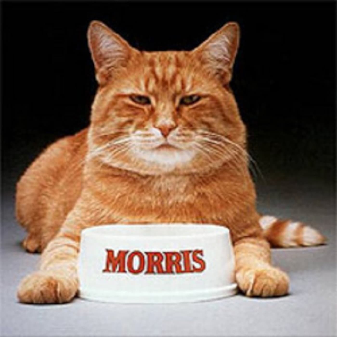 Episode 30 - Morris the Cat - Amazing Advertising cover
