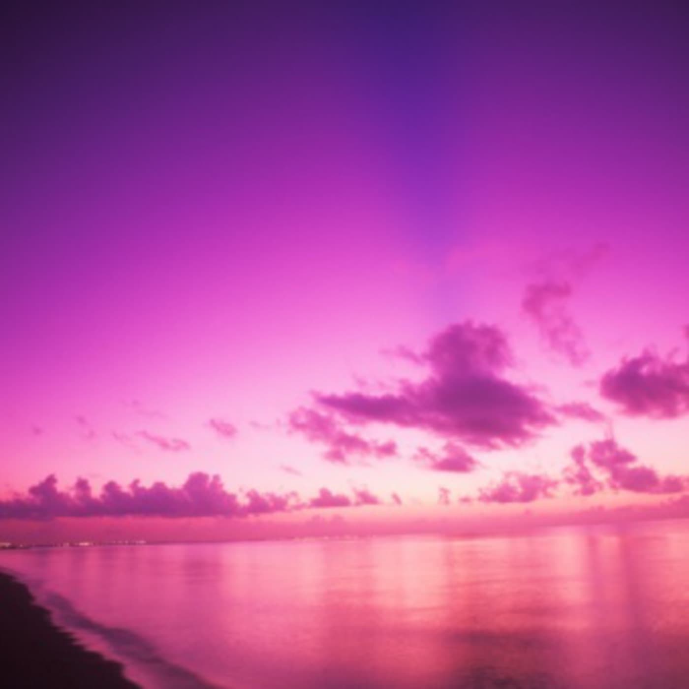 VIVID - PURPLE - VIVID Devotional Films cover