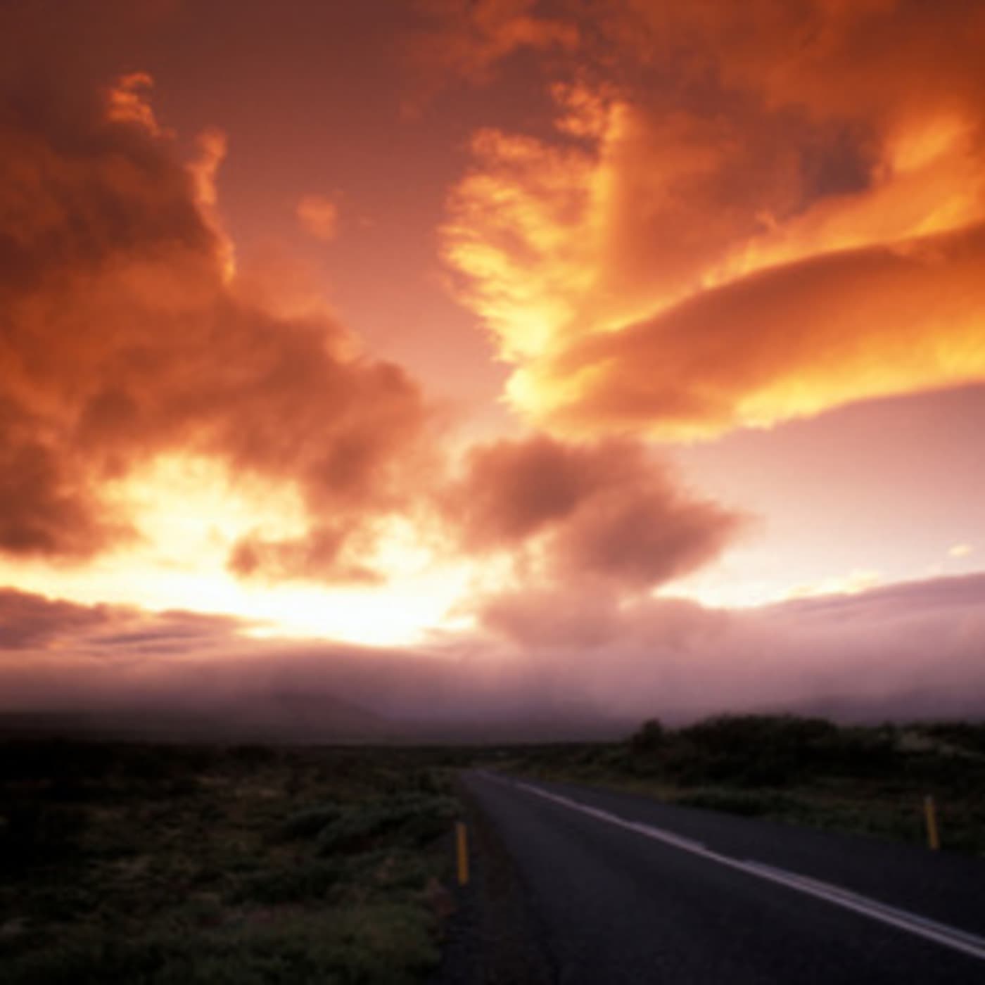 VIVID - PREVIEW - VIVID Devotional Films cover