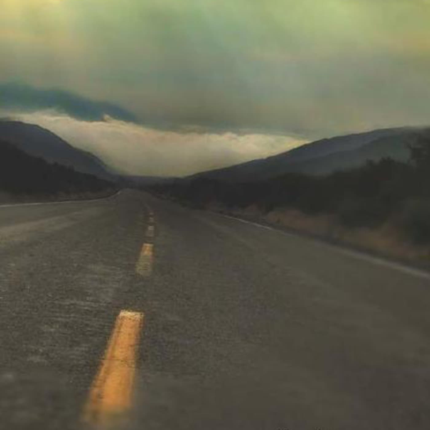 VIVID - PREVIEW (HD) - VIVID Devotional Films cover