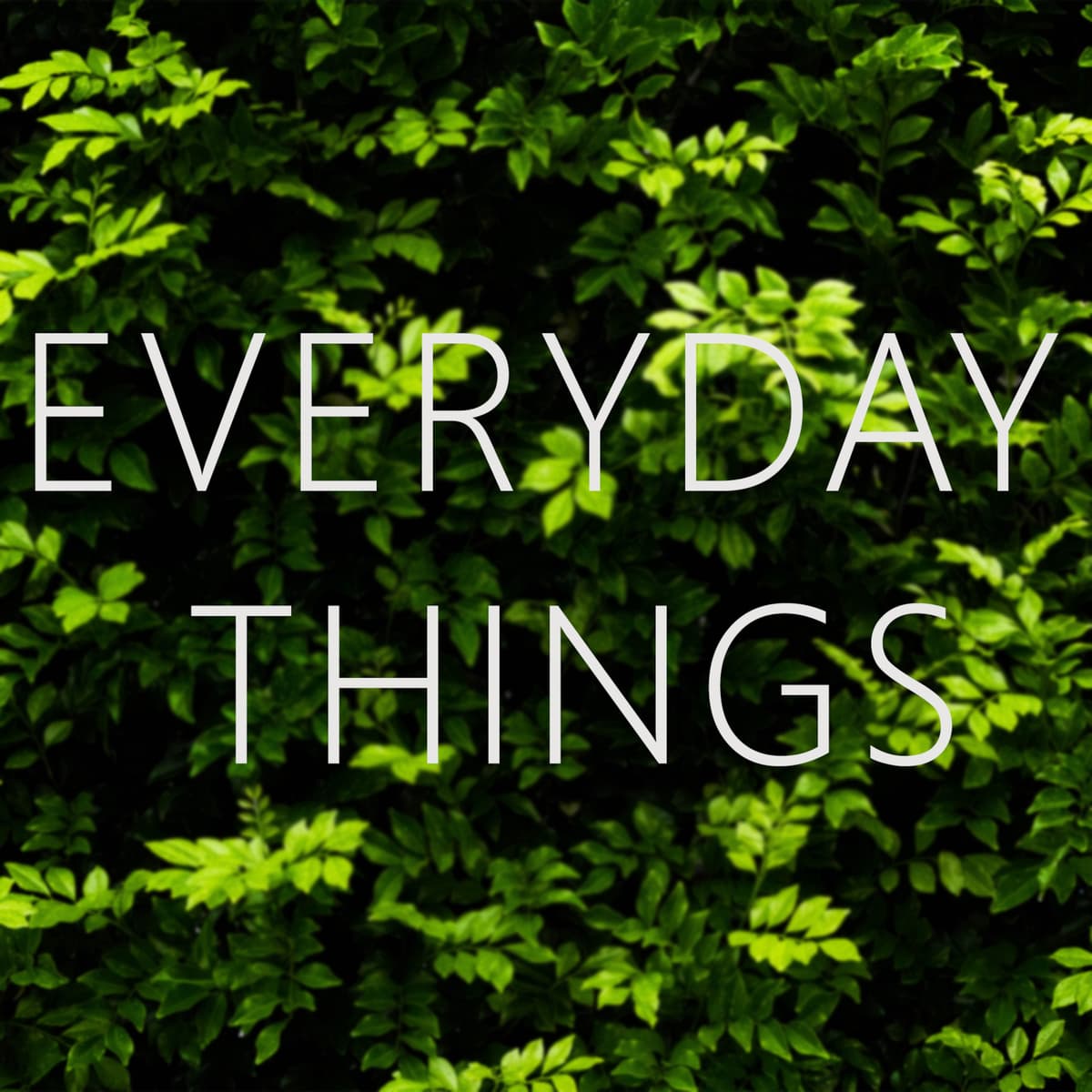 #2: Housing - Everyday Things - Everyday Things cover
