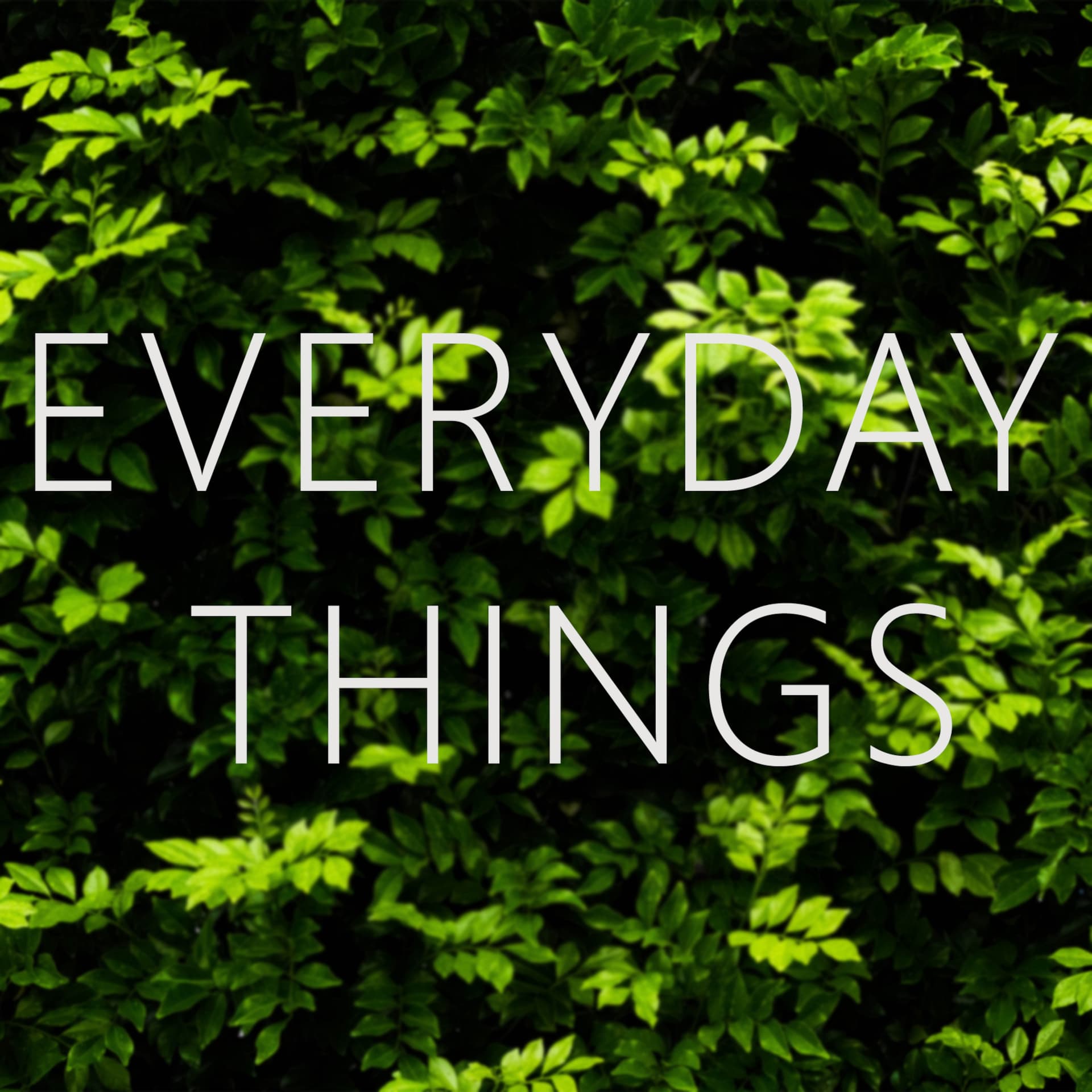 Everyday Things cover