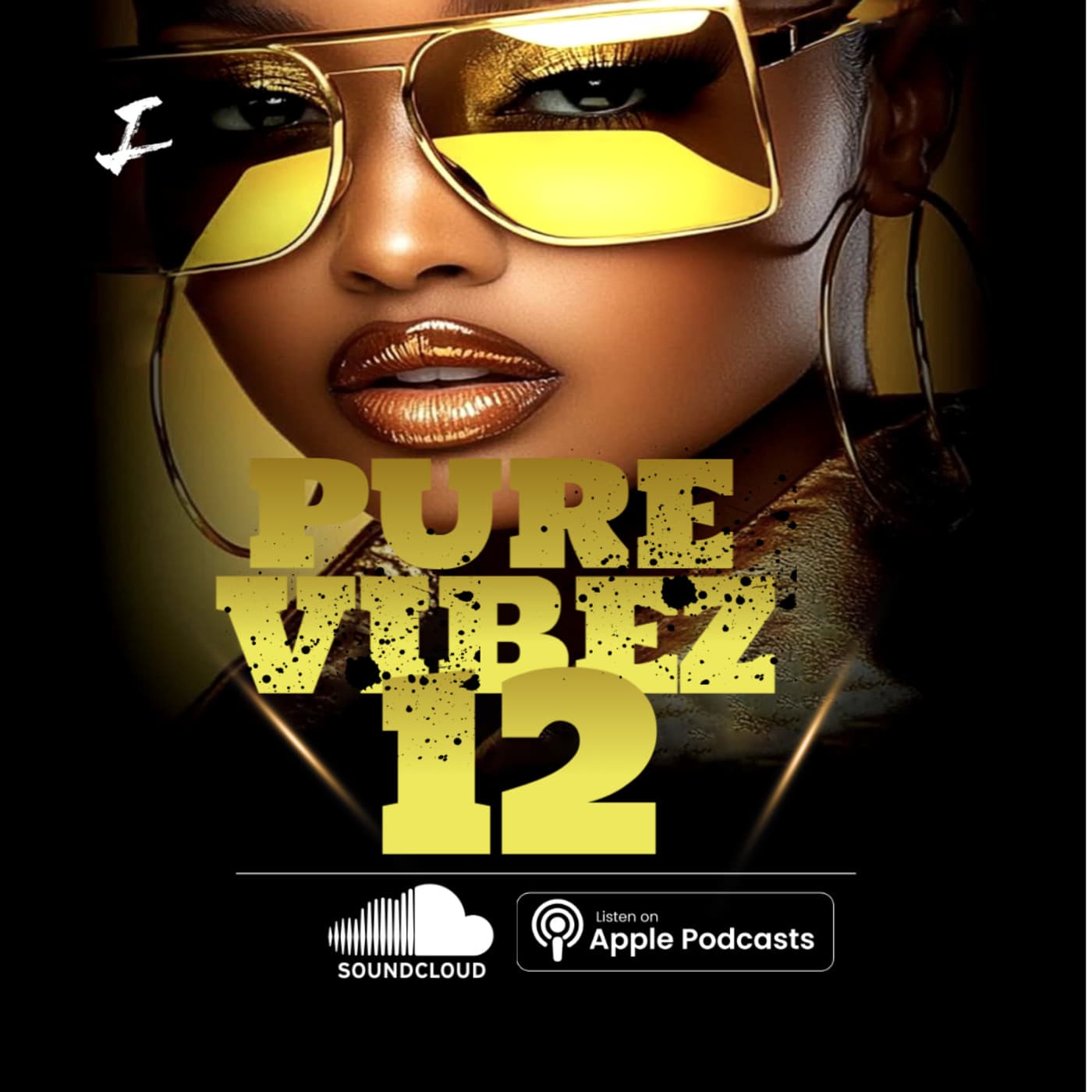 Pure VibEZ 12 - DJ iGnite Podcast cover