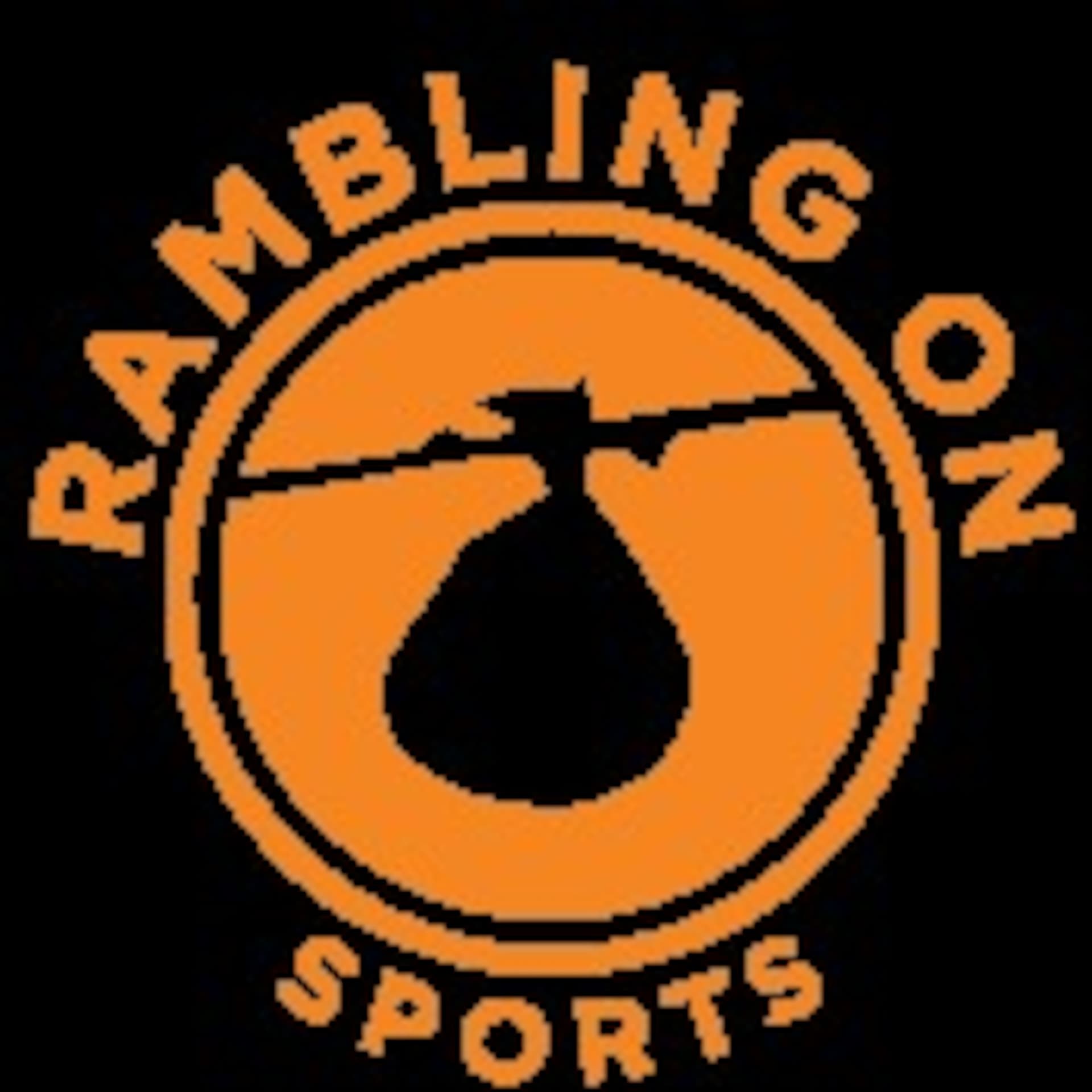 A Twins Rant and a Vikings Rant (Spoiler Alert: One is Negative) (Sports Ramble Podcast #3) — The Sports Ramble cover