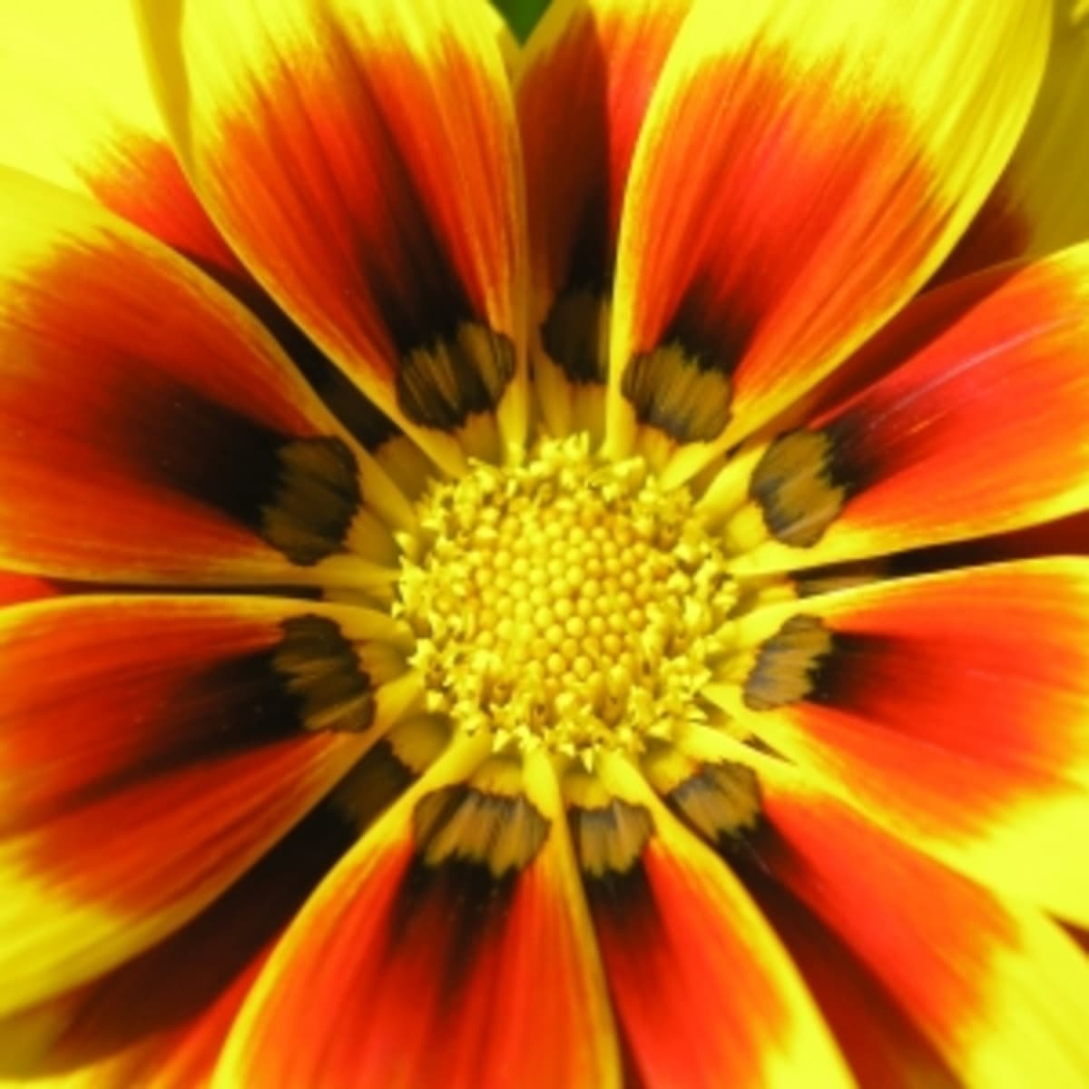 Odd Episode 03 - Bumper Funk Pack - Odd cover