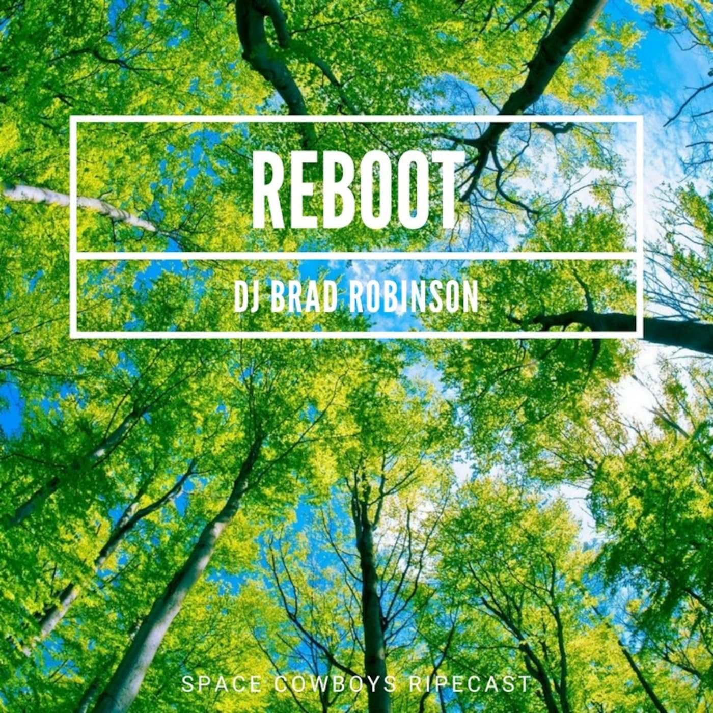 REBOOT - DJ Brad Robinson's Podcast cover