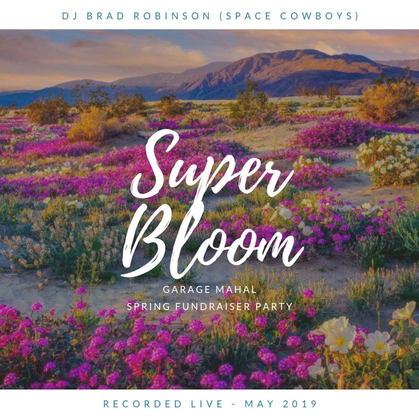 Brad Robinson Live @ Garage Mahal SuperBloom Fundraiser - DJ Brad Robinson's Podcast cover