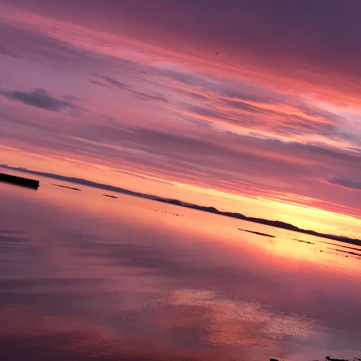 CAPTIVATED - Jane Schroeder cover