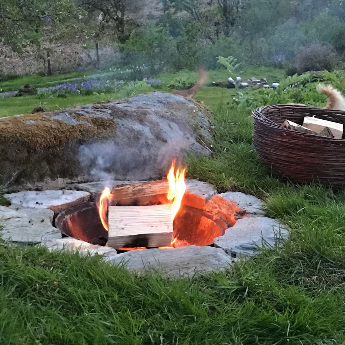 Episode 1: Fire Side Chat with Matthew McDowell - Jane Schroeder cover