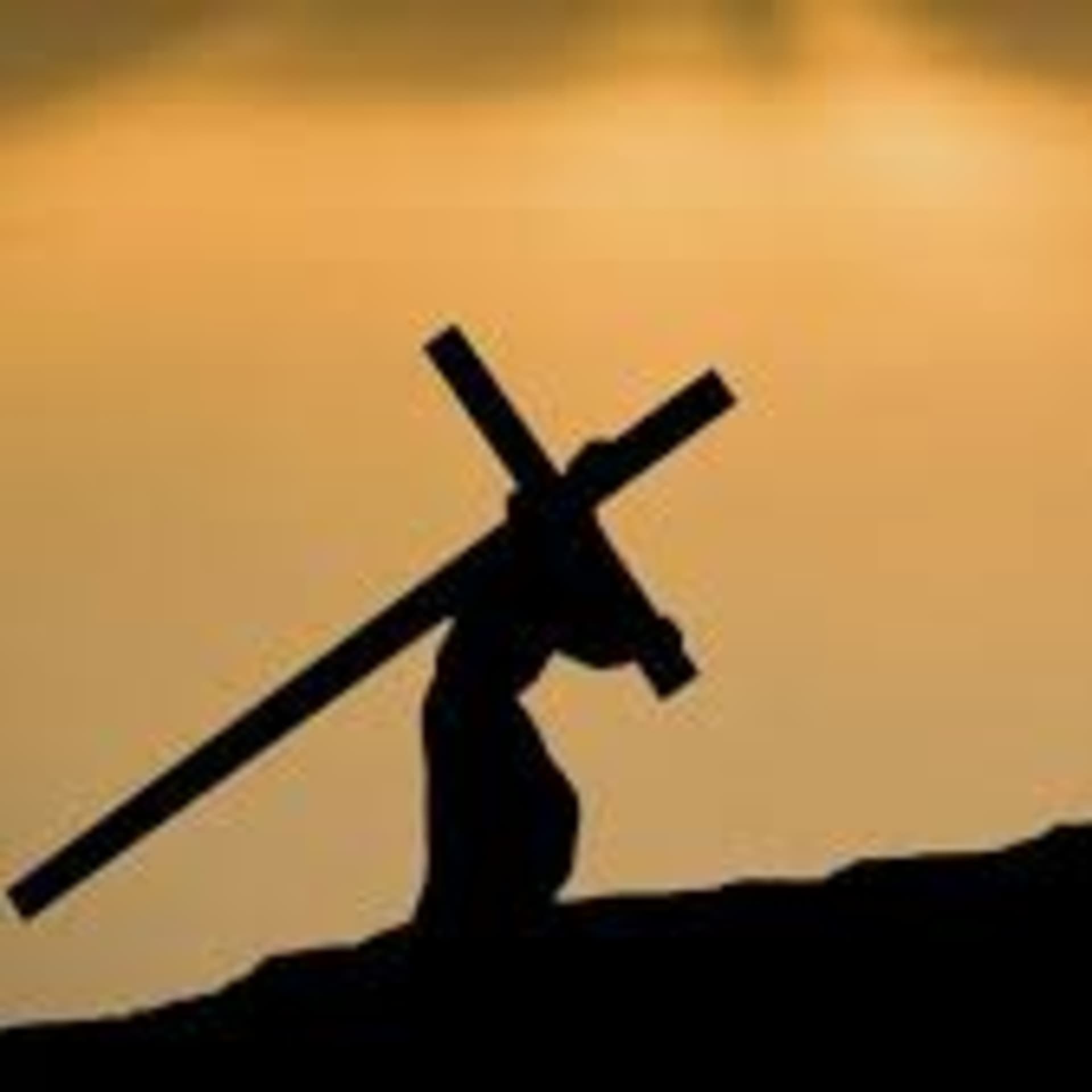 2020 22nd Sunday in Ordinary Time - Fr. Bryan Ochs' Weekly Homily cover