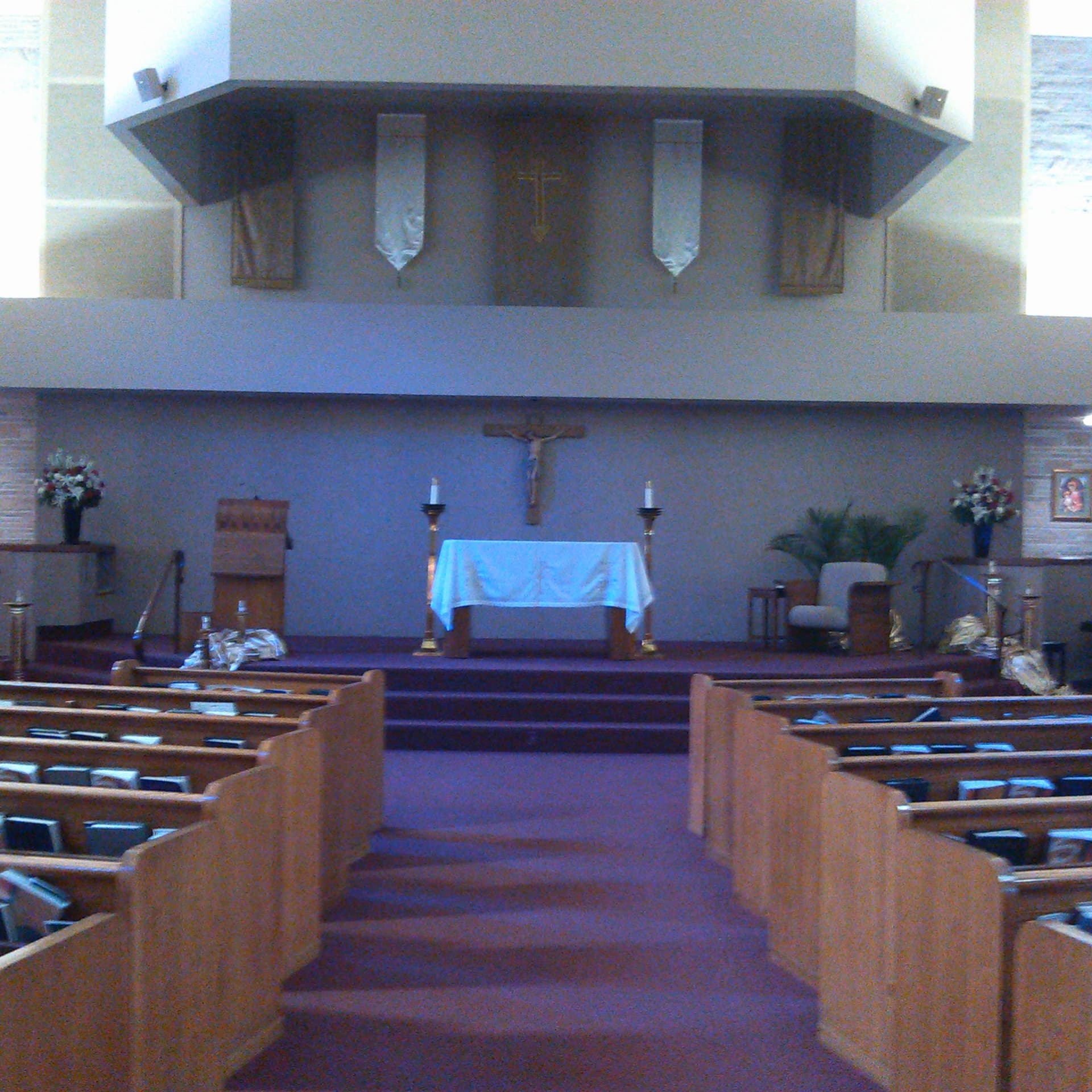 Fr. Bryan Ochs' Weekly Homily cover