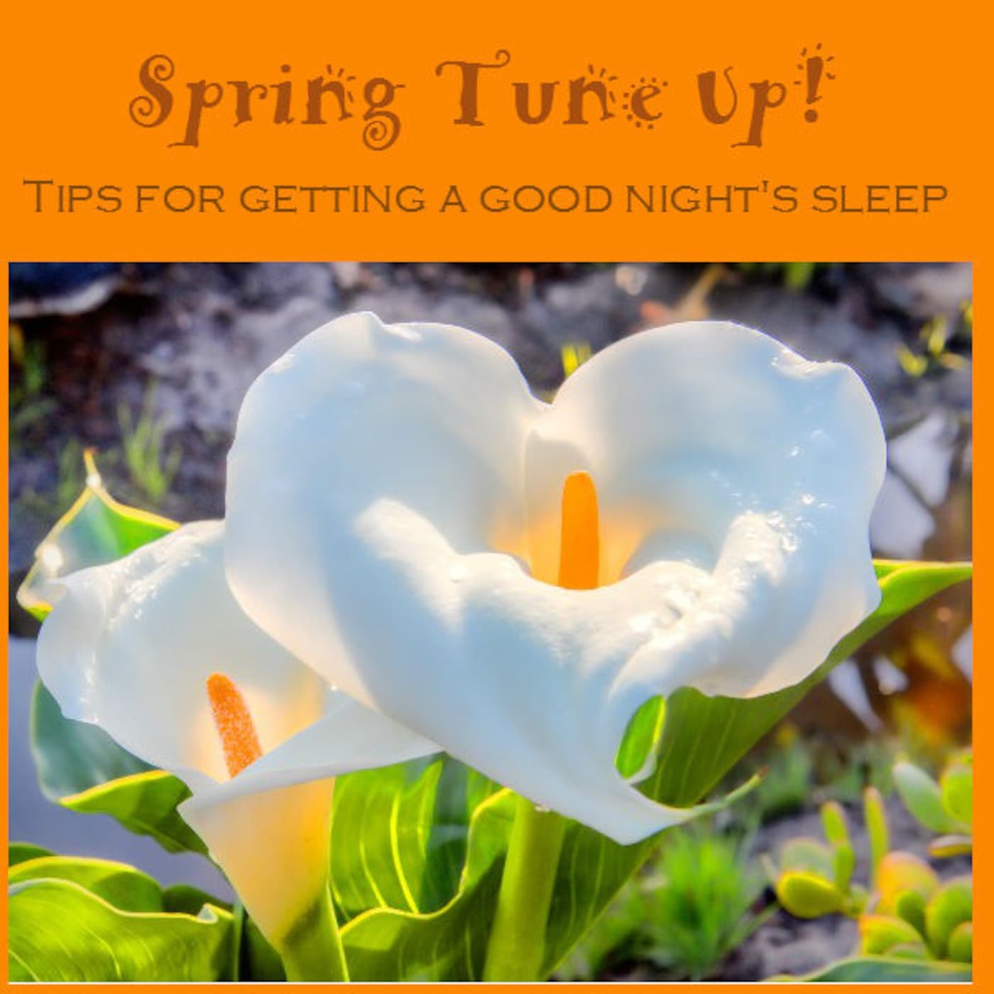 Spring Tune-Up: Get your ZZZZZZ's - LisaFM cover