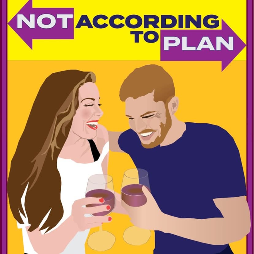 Not According To Plan cover