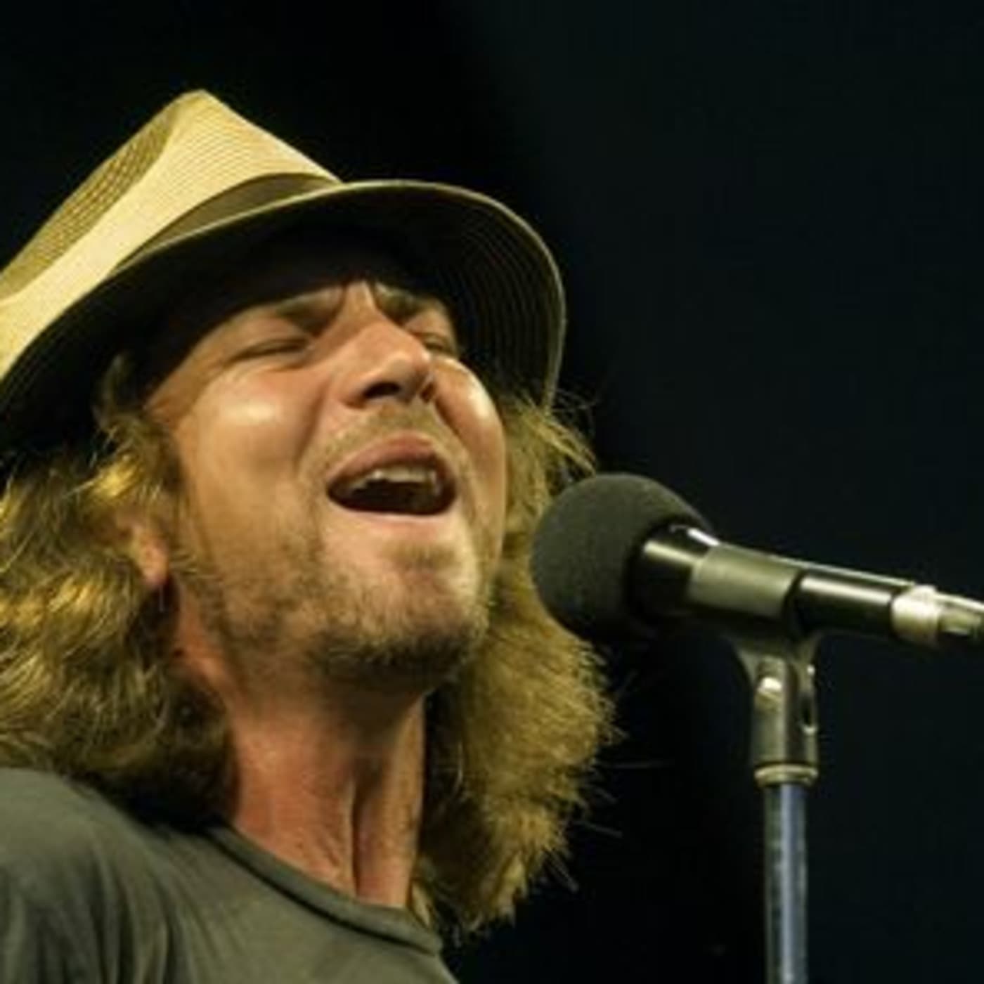 Pearl Jam in concert cover