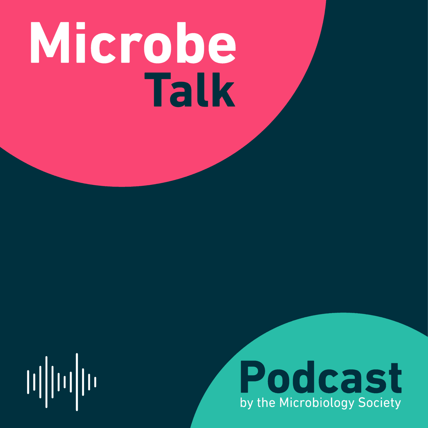 Episode 178: The Kocurious case of Noodlococcus: From discovery to community - Microbe Talk cover