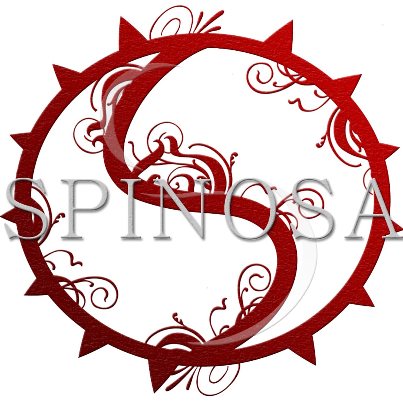 John Spinosa cover