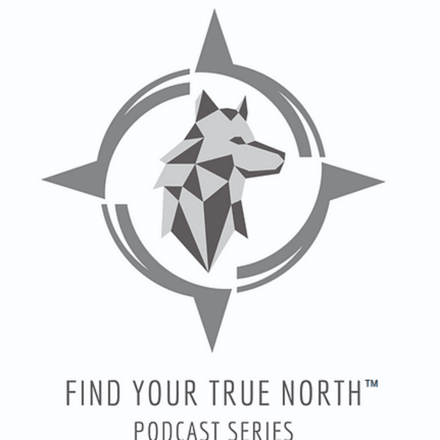 Find Your True North cover