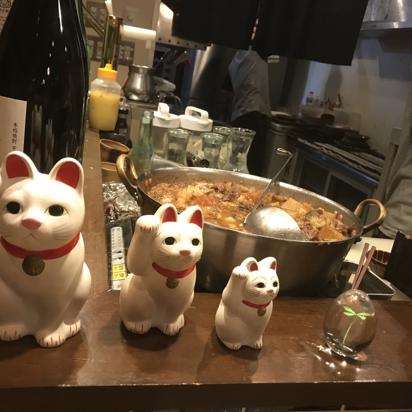 Message From Tokyo - Deadly Dragon Sound's Reggaematic Podcast cover