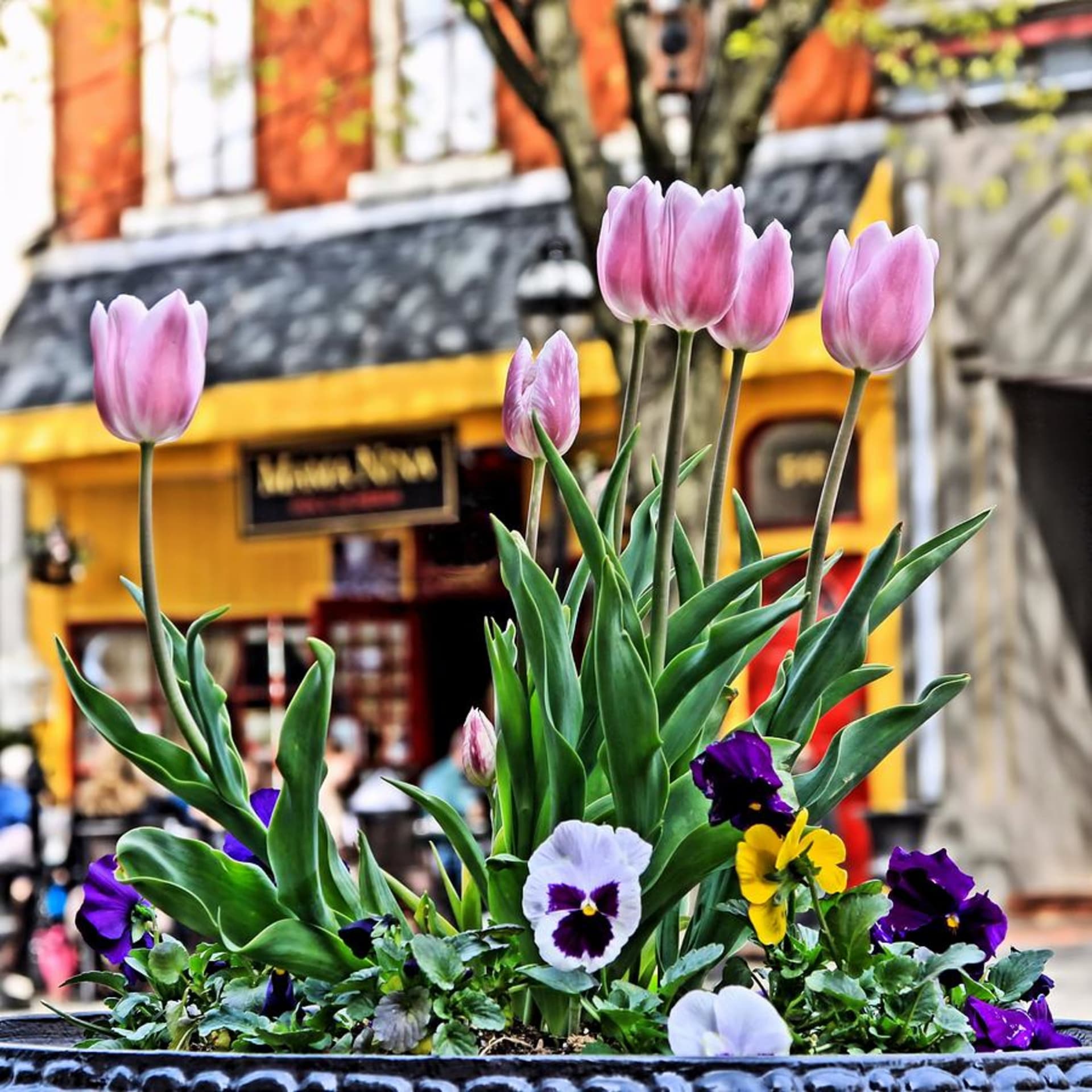 MALA | IL PODCAST | APRILE 2013 - ♯MalA♯'s Podcast cover