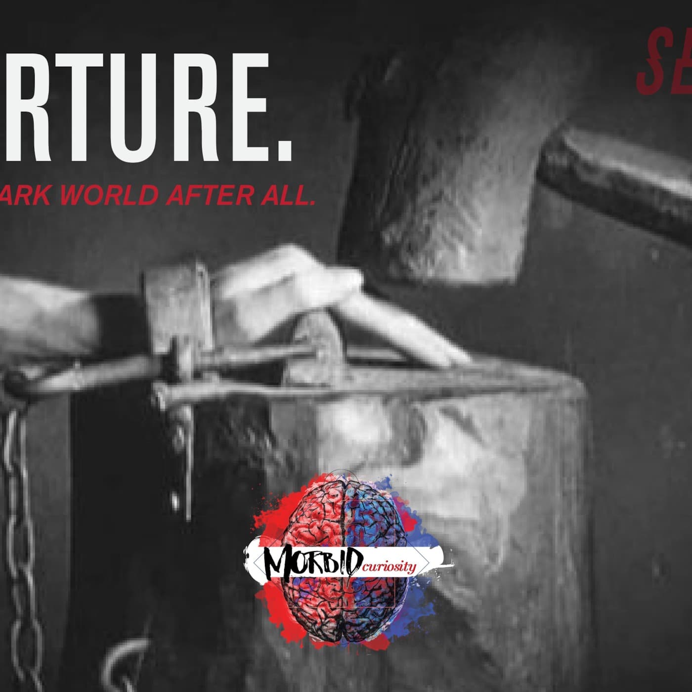 Torture: It's a Dark World After All. - Morbid Curiosity cover