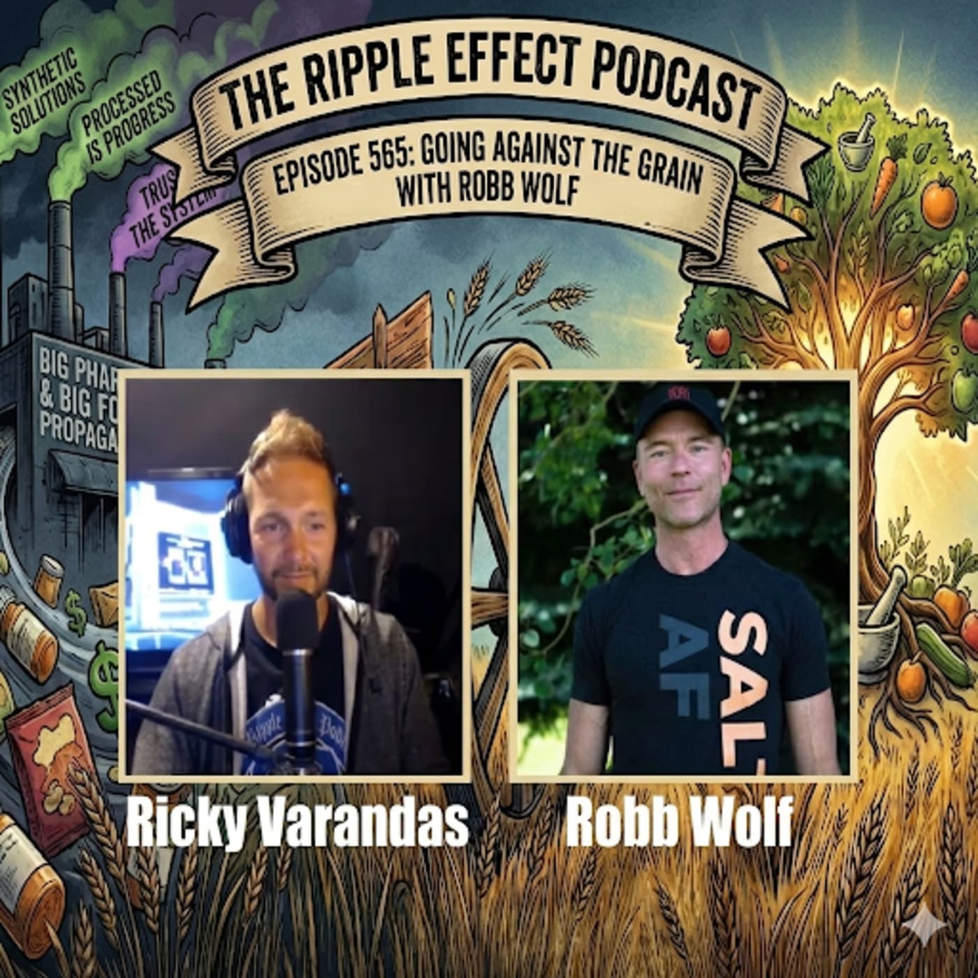 Episode 565: The Ripple Effect Podcast (Robb Wolf | Going Against The Grain) - The Ripple Effect Podcast cover