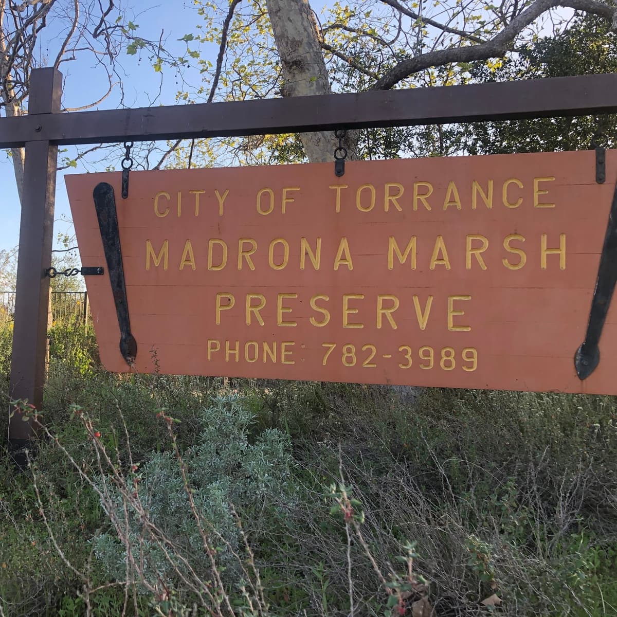 Episode 5: Episode 4.1 - Madrona Marsh Nature Preserve - Torrance, CA - Green Space Stories cover
