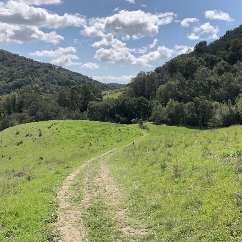 Green Space Stories cover