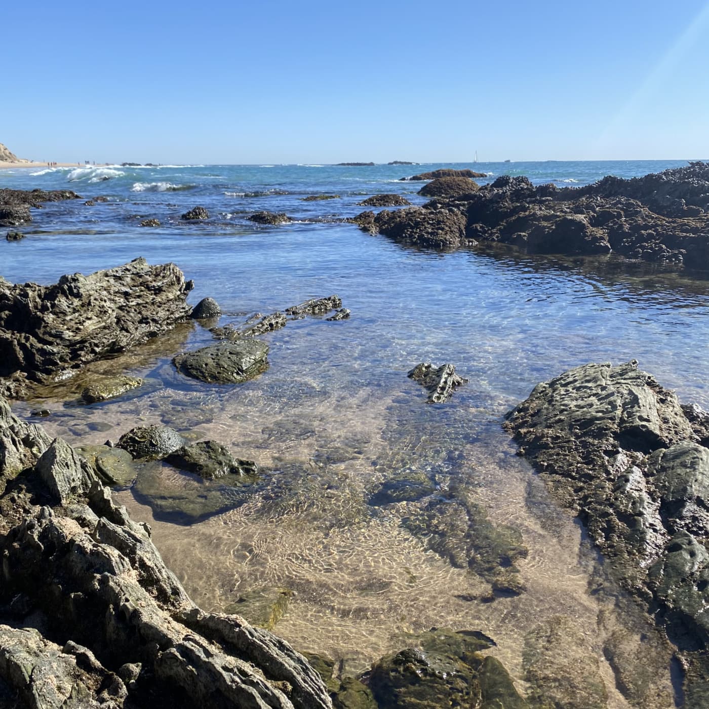 Episode 3: Episode 2.1 Crystal Cove State Park - Laguna Beach, CA - Green Space Stories cover
