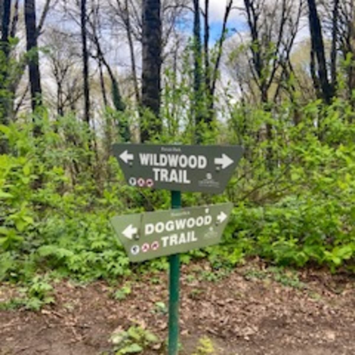 Episode 6: Episode 3.1 - Forest Park - Green Space Stories cover