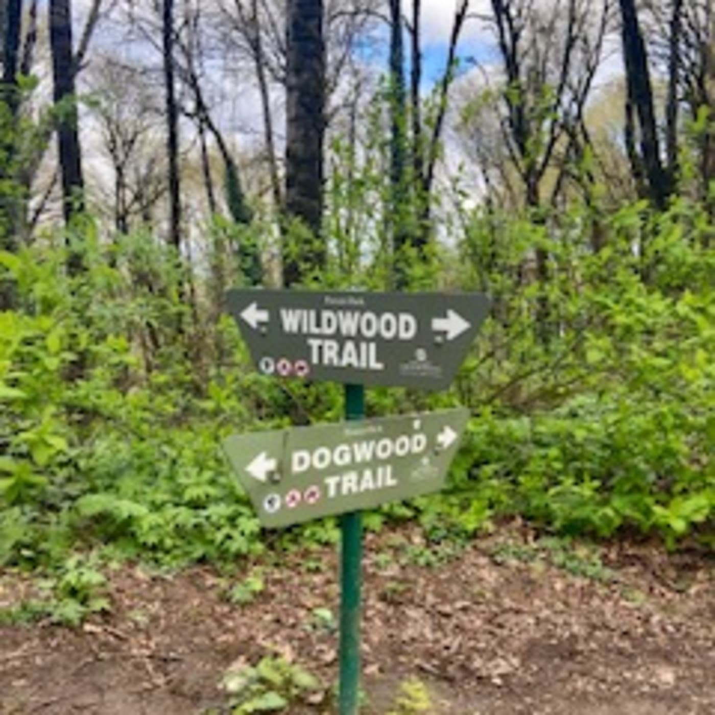 Episode 6: Episode 3.1 - Forest Park - Green Space Stories cover