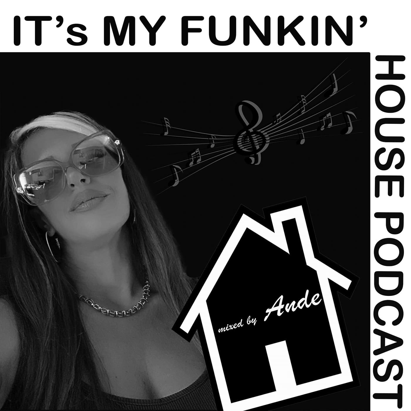 ANDE - Its My Funkin' House Podcast cover