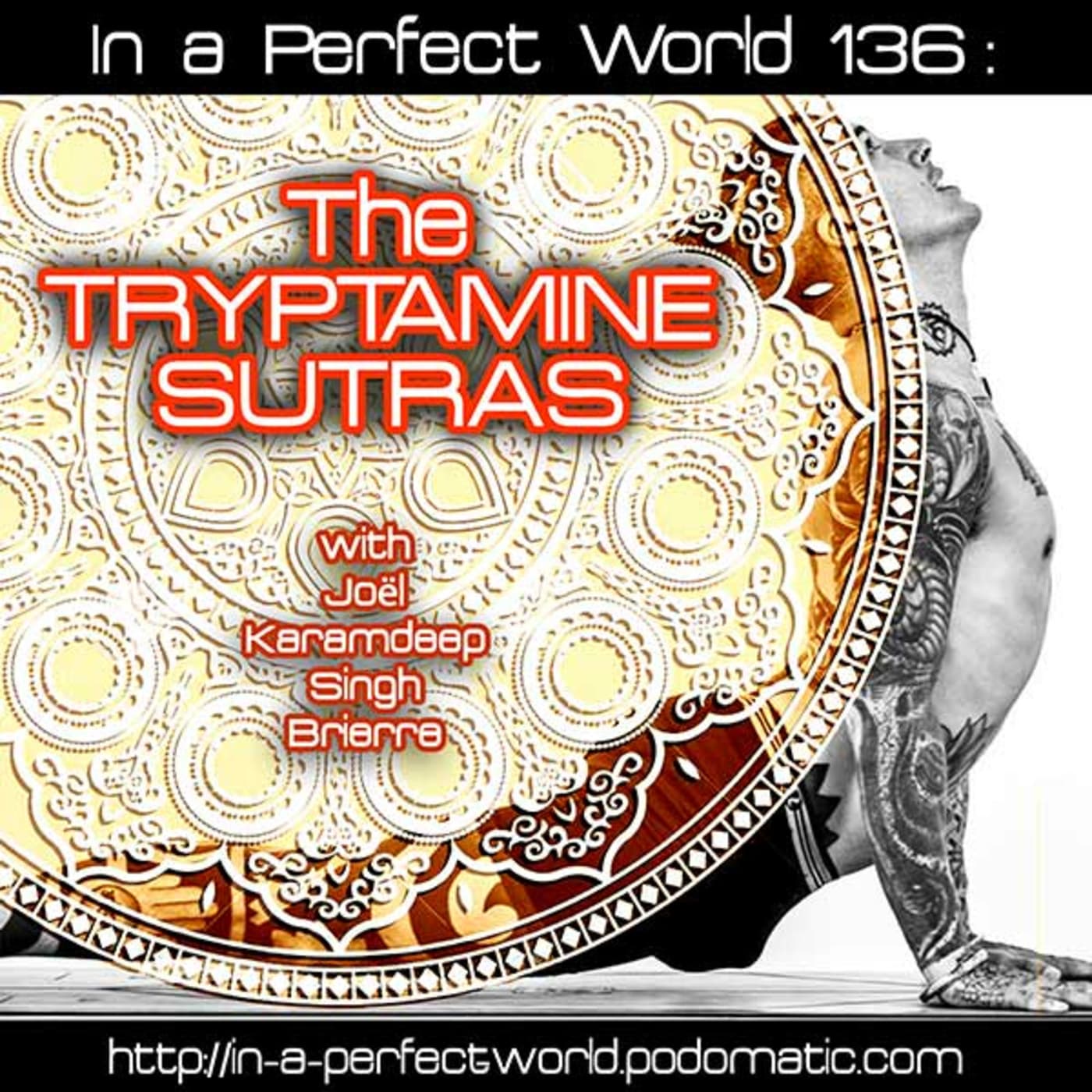 136: The Tryptamine Sutras - In A Perfect World cover