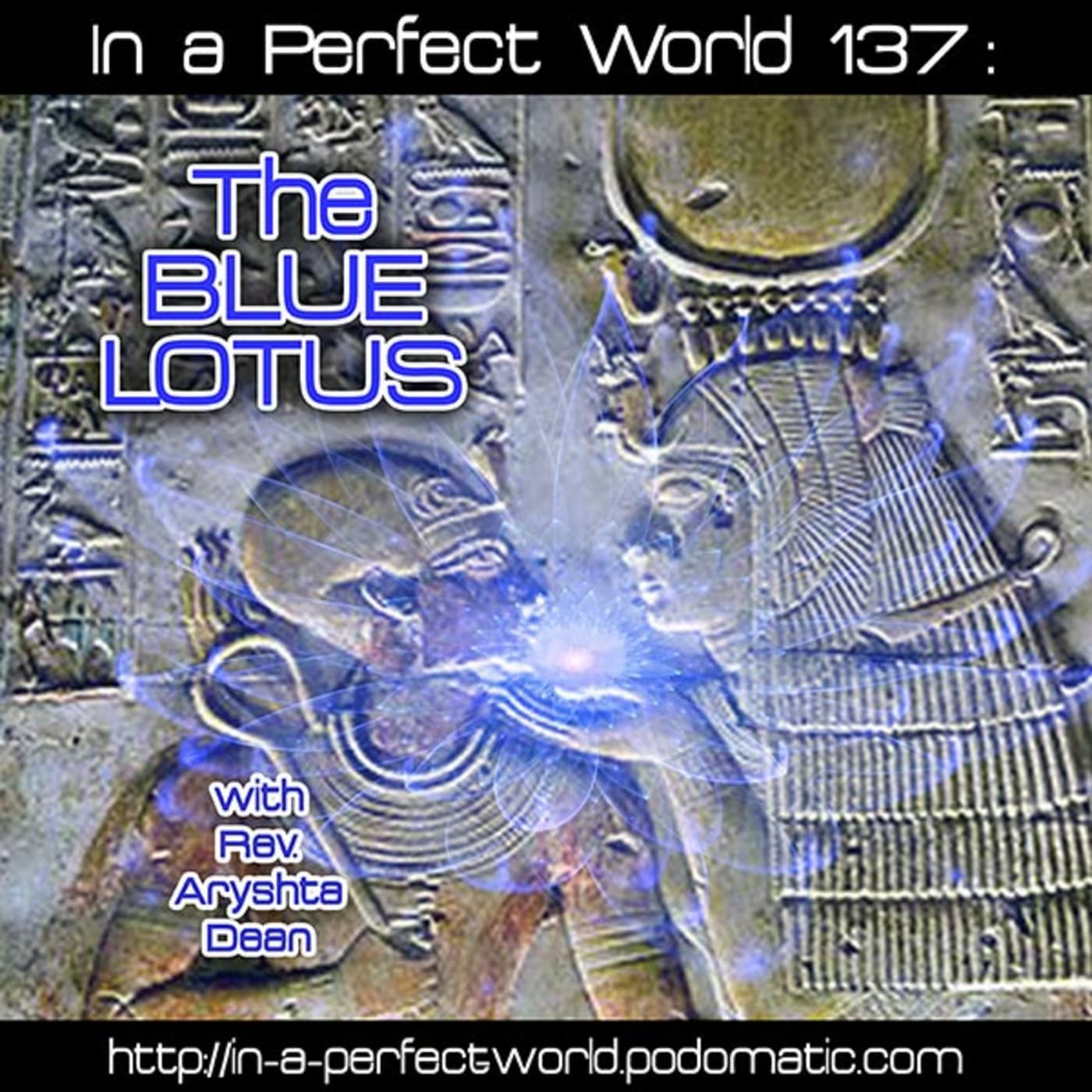 137: The Blue Lotus — In A Perfect World cover