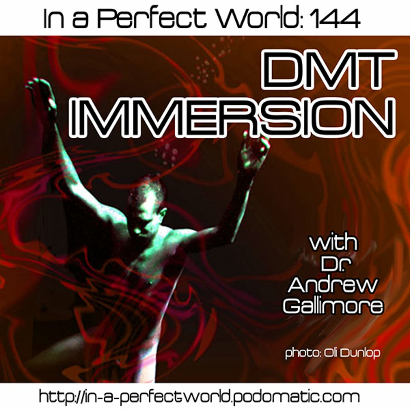 144: DMT IMMERSION - In A Perfect World cover