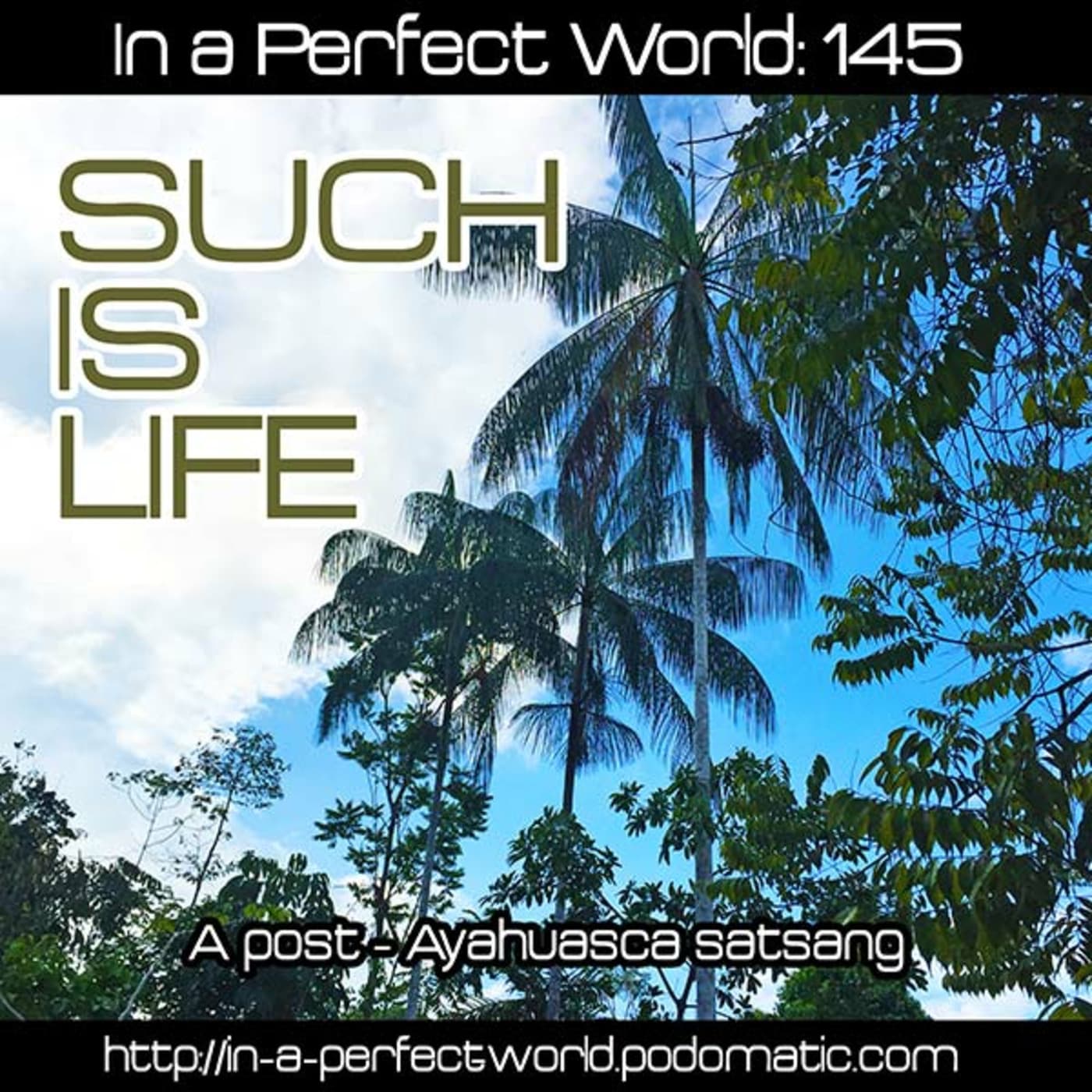 145: SUCH IS LIFE - In A Perfect World cover