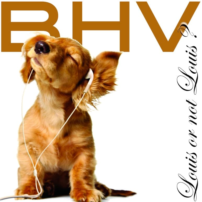 Louis or not Louis ? - Belgian House Vinyls' Podcast cover