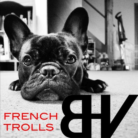 French Trolls - Belgian House Vinyls' Podcast cover