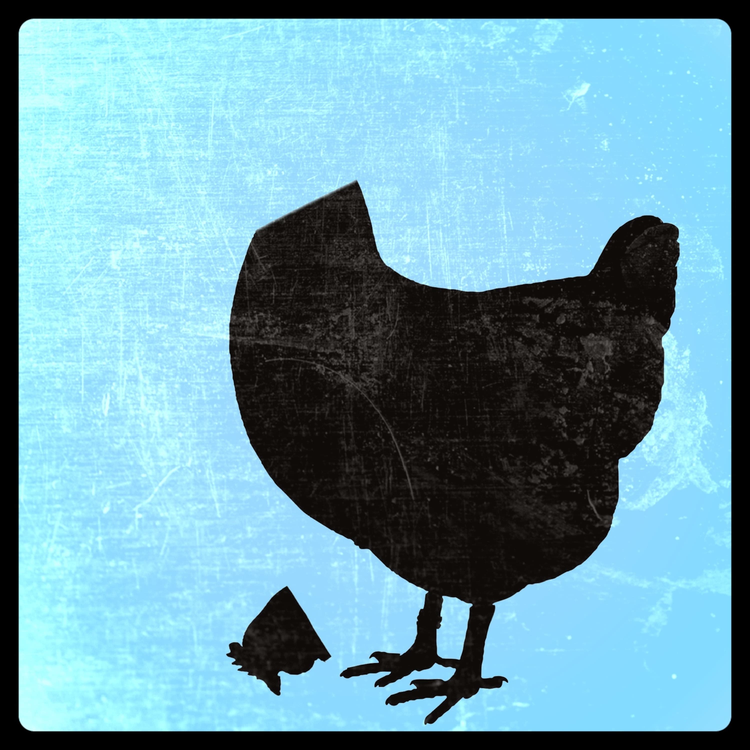 Episode 12: UDL Start Up Review - Headless Chickens Podcast cover
