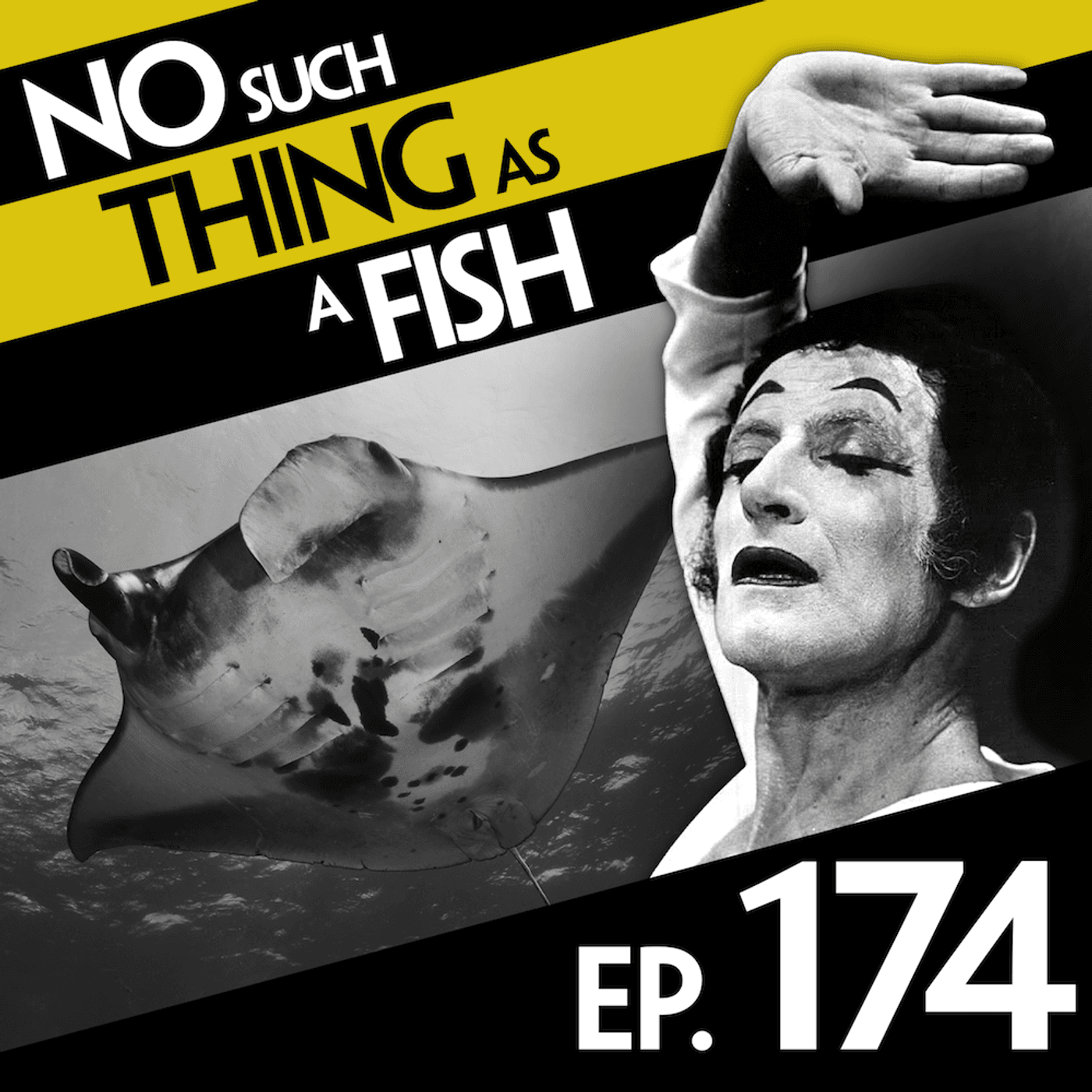 No Such Thing As A Manta Ray - No Such Thing As A Fish cover