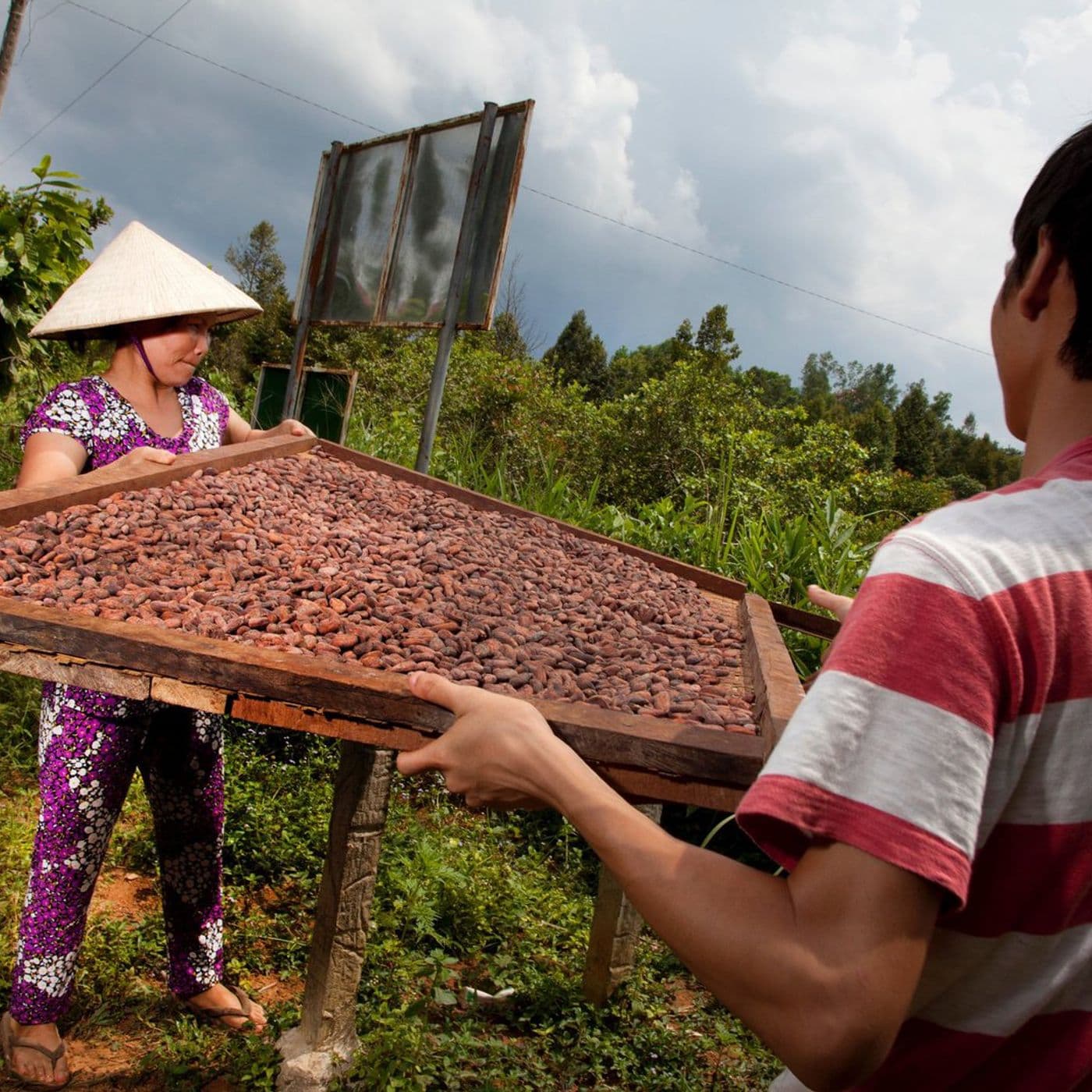 Makers Series 5: Marou, Faiseurs de Chocolat - The Slow Melt: A podcast about chocolate cover