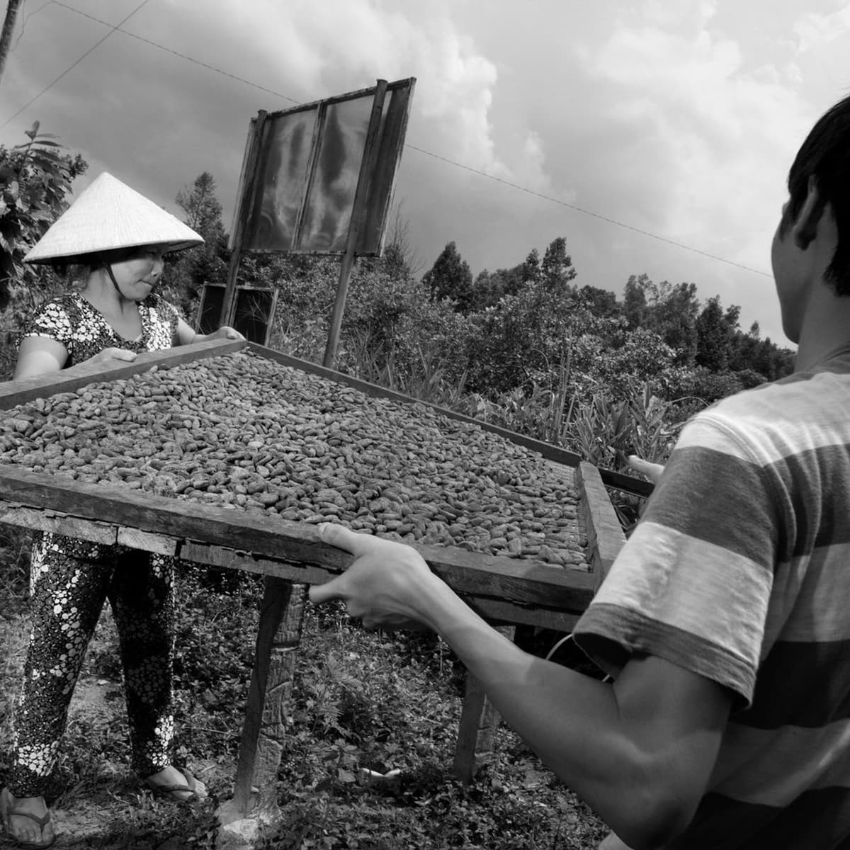 Preview of Makers Series 5: Marou, Faiseurs de Chocolat - The Slow Melt: A podcast about chocolate cover