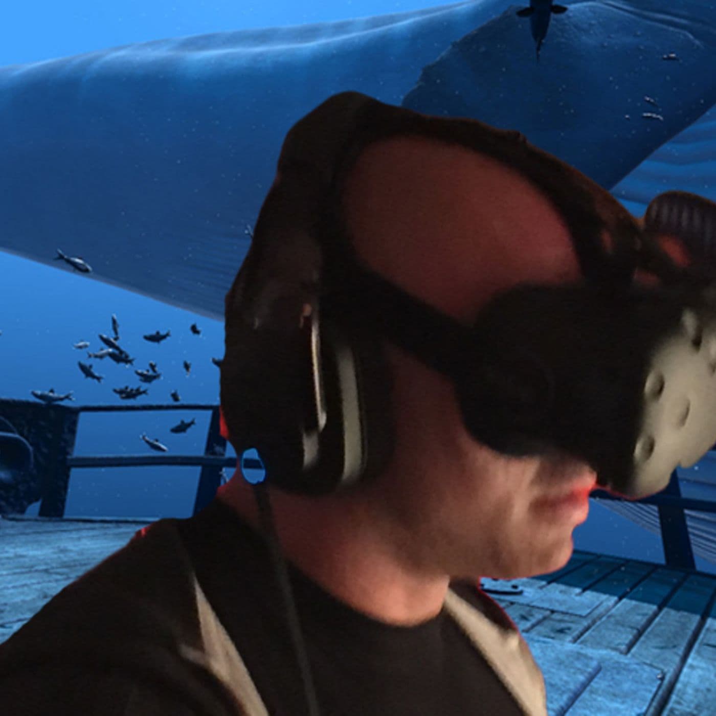 JOE ROGAN - Duncan Trussell Family Hour cover