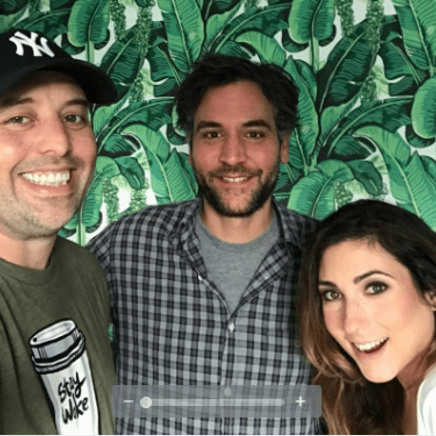 S2 Ep13: Josh Radnor - Failing Up cover