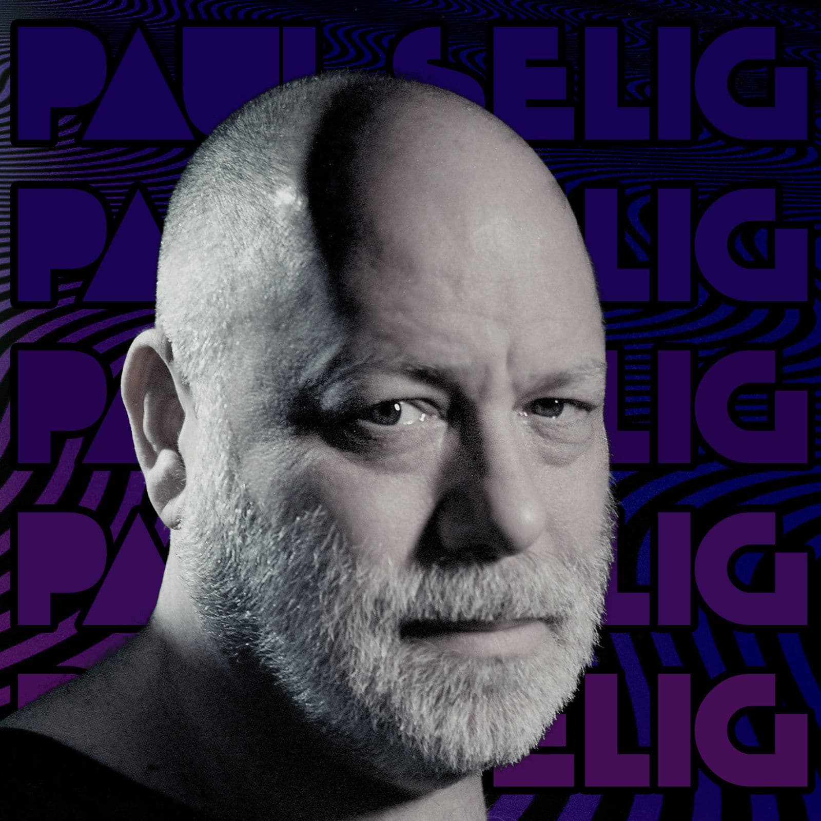 307: Paul Selig - Duncan Trussell Family Hour cover