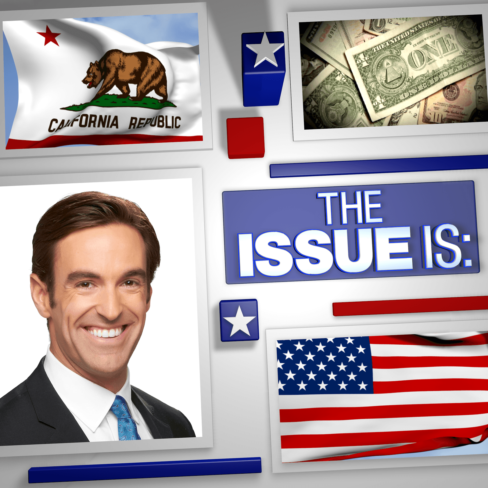 184: Dee Dee Myers and the Meiselas Brothers - The Issue Is cover