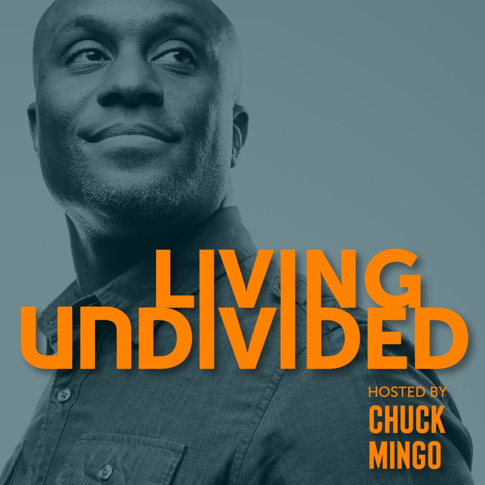 2: Ep. #2 Living Undivided - Dr. Hahrie Han - Living Undivided cover