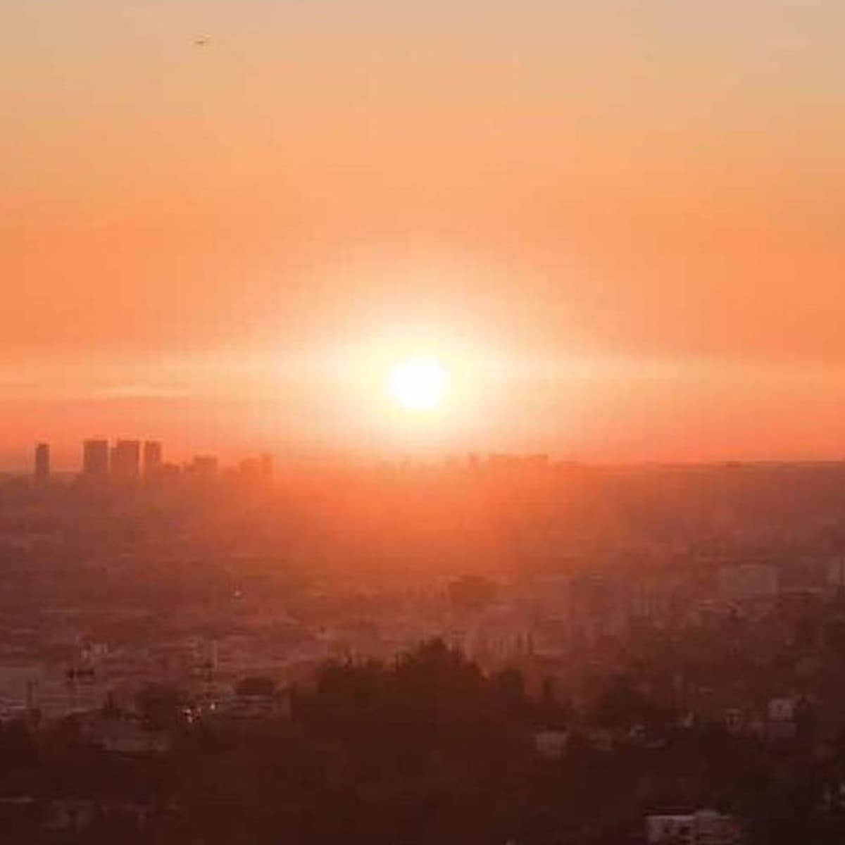 24: Facing the Economic Perils of Climate Change - A Discussion with Steven Rothstein of Ceres - America Unchained cover